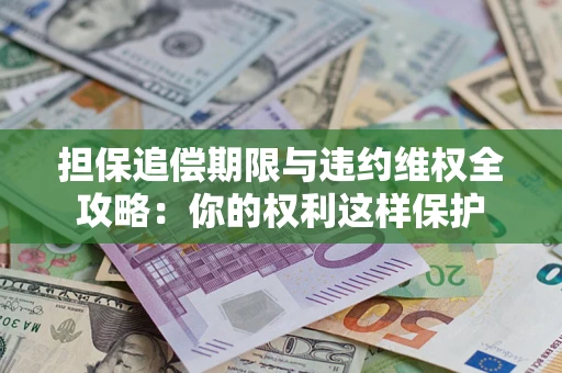 北京担保追偿期限与违约维权全攻略：你的权利这样保护
