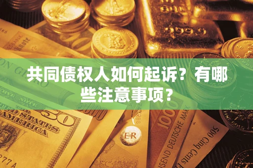 北京共同债权人如何起诉？有哪些注意事项？